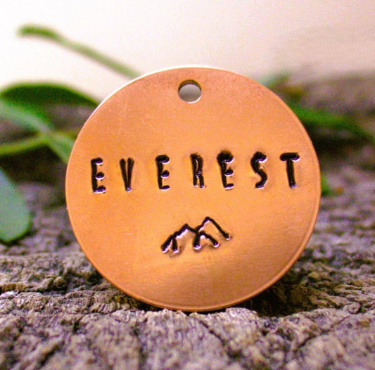 Everest Pet Name Tag (32 mm)
